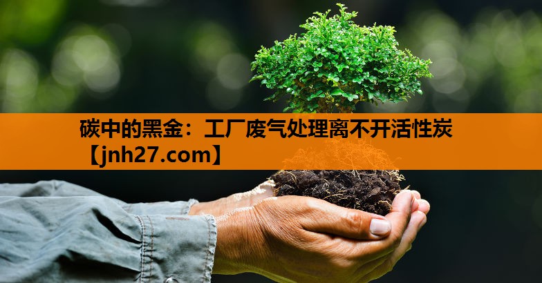 碳中的黑金：工厂废气处理离不开活性炭
