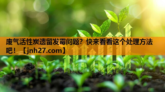 废气活性炭遗留发霉问题？快来看看这个处理方法吧！